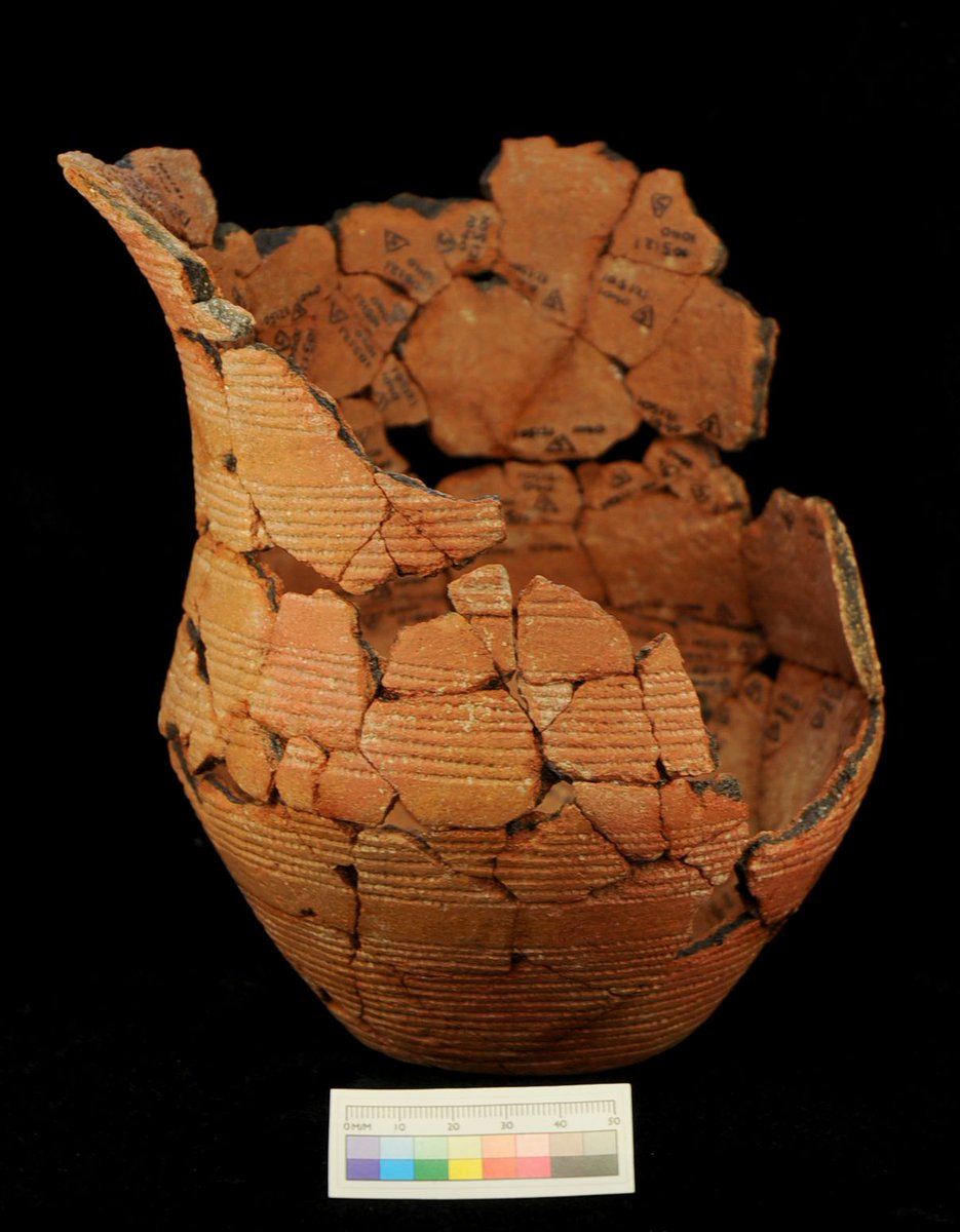 wessexarch's tweet photo. 🏺 🔍We're delving into the fascinating realm of archaeological conservation with this Early Bronze Age beaker, #FoundInTheGround in Salisbury by our archaeologists! https://t.co/K7wM6Dee1N