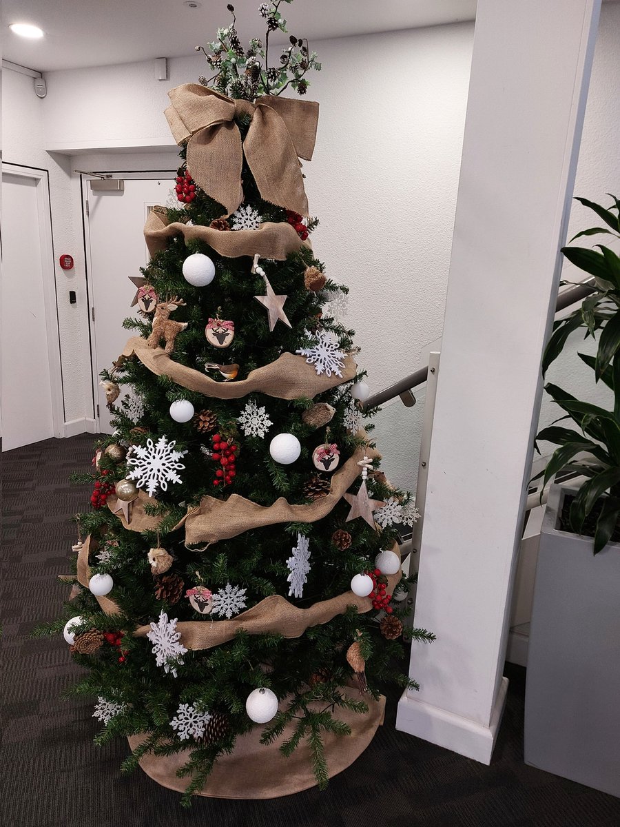 Jan_Waterman1's tweet photo. It's definitely  looking a lot like Christmas at Peninsular House @WeAreVIVIDhomes https://t.co/LM7jQb0bb4