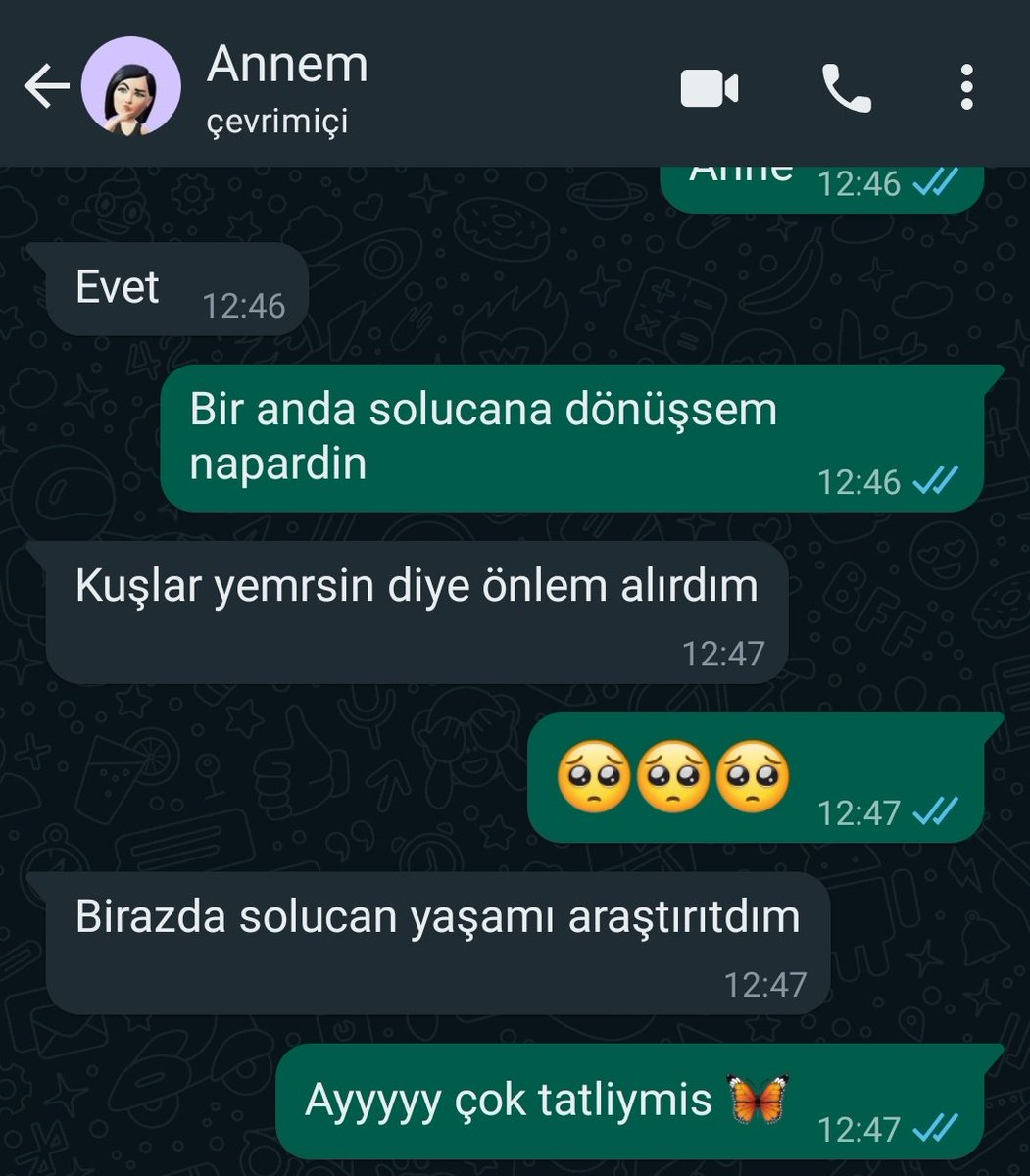 unutmanehri's tweet photo. Solucan yaşamı araştırırdım 🥹 https://t.co/wWqiJIv7mi