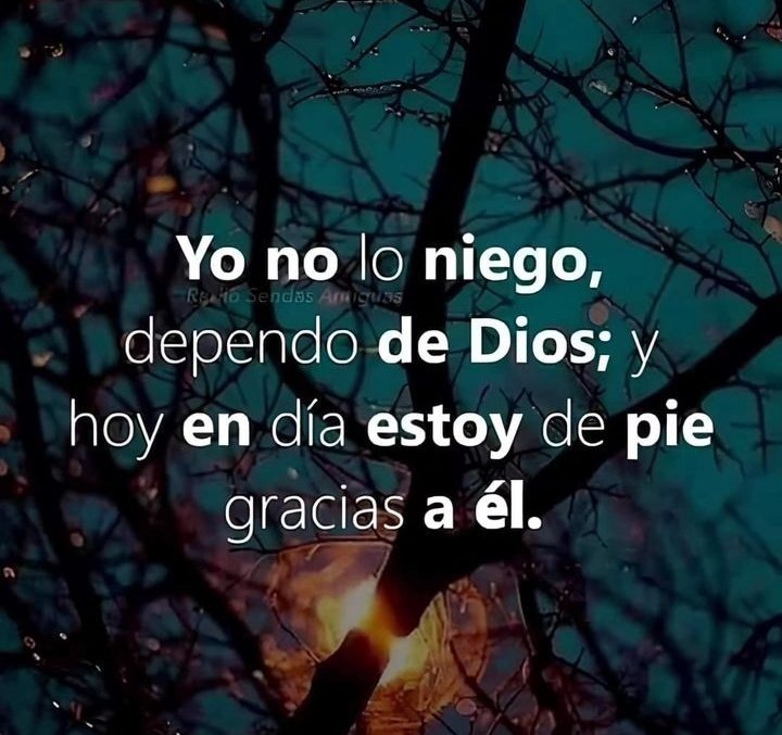 faustinodelgado's tweet photo. Padre Bueno, gracias porque has llenado mi vida de alegría y paz. Padre amado, tu me sostienes con tu inmenso poder, y me sanas de toda enfermedad.
Amado Dios, hoy me declaro en victoria por la sangre preciosa que derramastes en la cruz del calvario.
Muchas gracias.
AMÉN Y AMÉN!! https://t.co/csAl2aQ60X