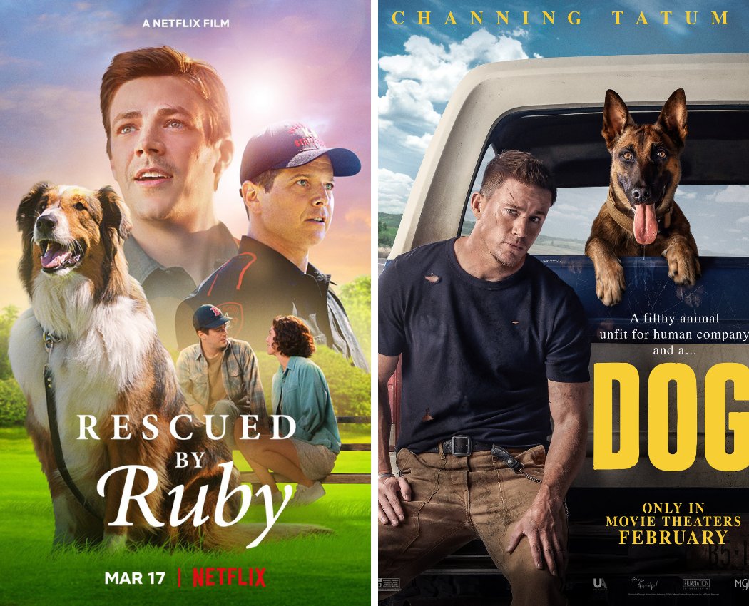 moviefone's tweet image. Battle of the Blockbusters | #RescuedByRuby vs. #DogMovie
Which one is your favorite? 🎬 movief.one
