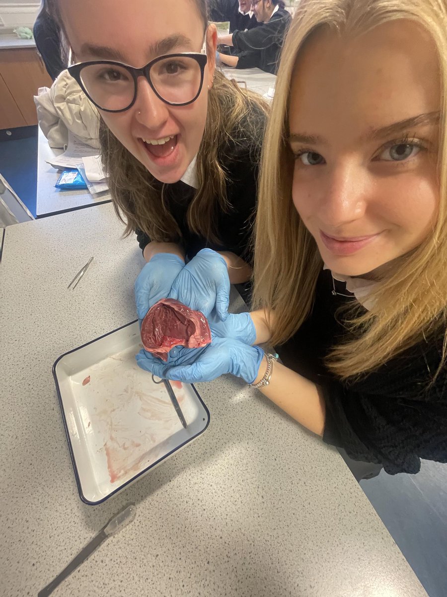 BHSscience tweet media