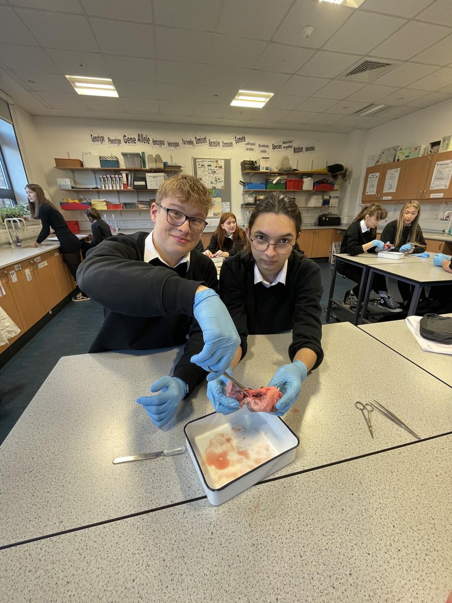 BHSscience tweet media