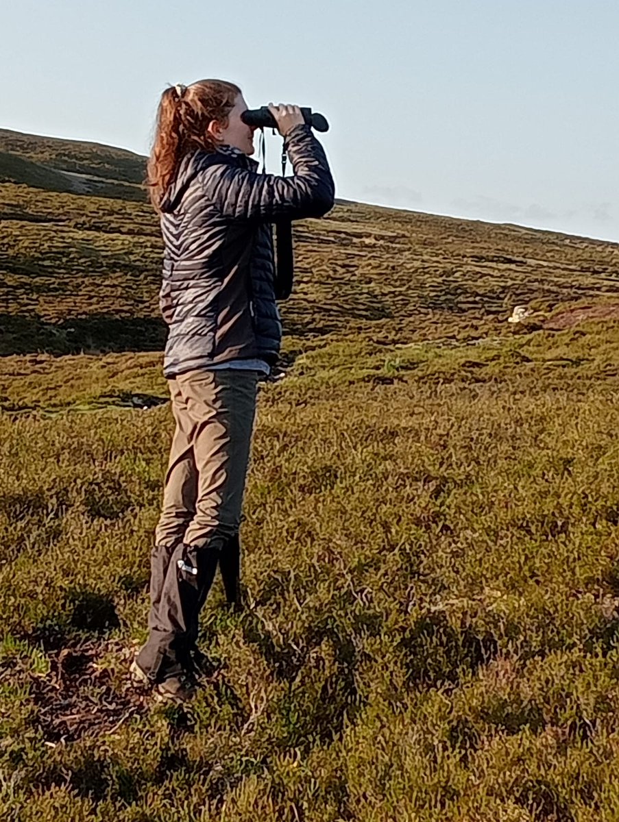 fionntor's tweet image. Next year&apos;s @Gameandwildlife #StudentPlacement&apos;s are out now!  Great opportunity to get experience in the conservation sector.  See tinyurl.com/mr42bjas or for questions on the Scottish Lowlands placement, feel free to send me a message. 📸Kathy Fletcher