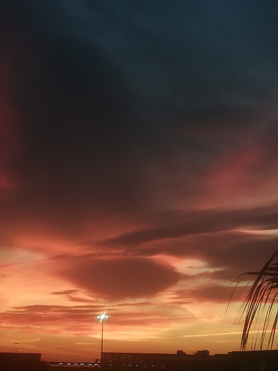 Antonio Ramirez tweet media