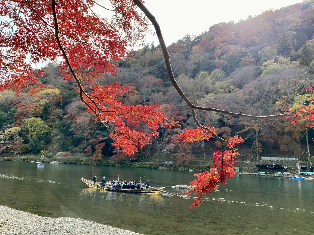 嵯峨岚山，这意境无敌了