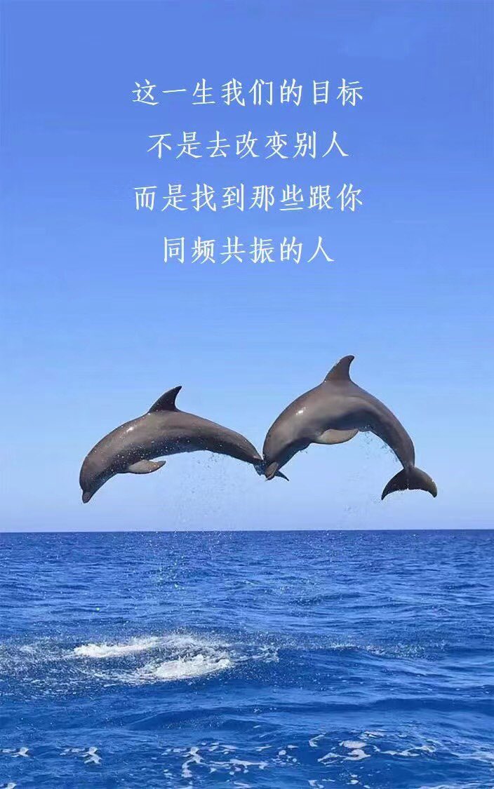 这一生我们的目标
不是去改变别人
而是找到那些跟你
同频共振的人