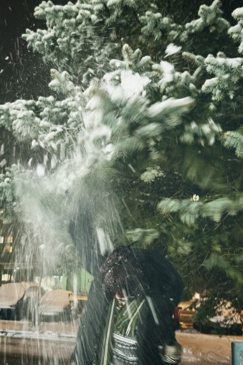 ❄️