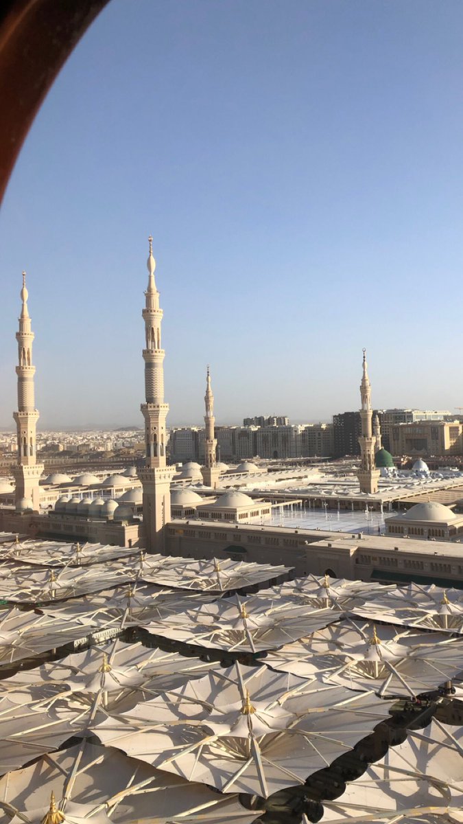 رب اجعل هذا الصباح صباح خير لا يضيق لنا فيه صدر ولا يخيب لنا فيه أمر ، وأجعل لنا بكل خطوة توفيق وتيسير وأجر🤍