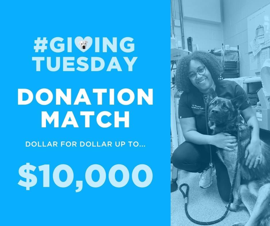 EXCITING UPDATE: an anonymous donor has offered to match all donations up to $10,000 starting NOW to help us reach our Giving Tuesday Goal! Can you help us get there? -> otatgivingtuesday23.funraise.org