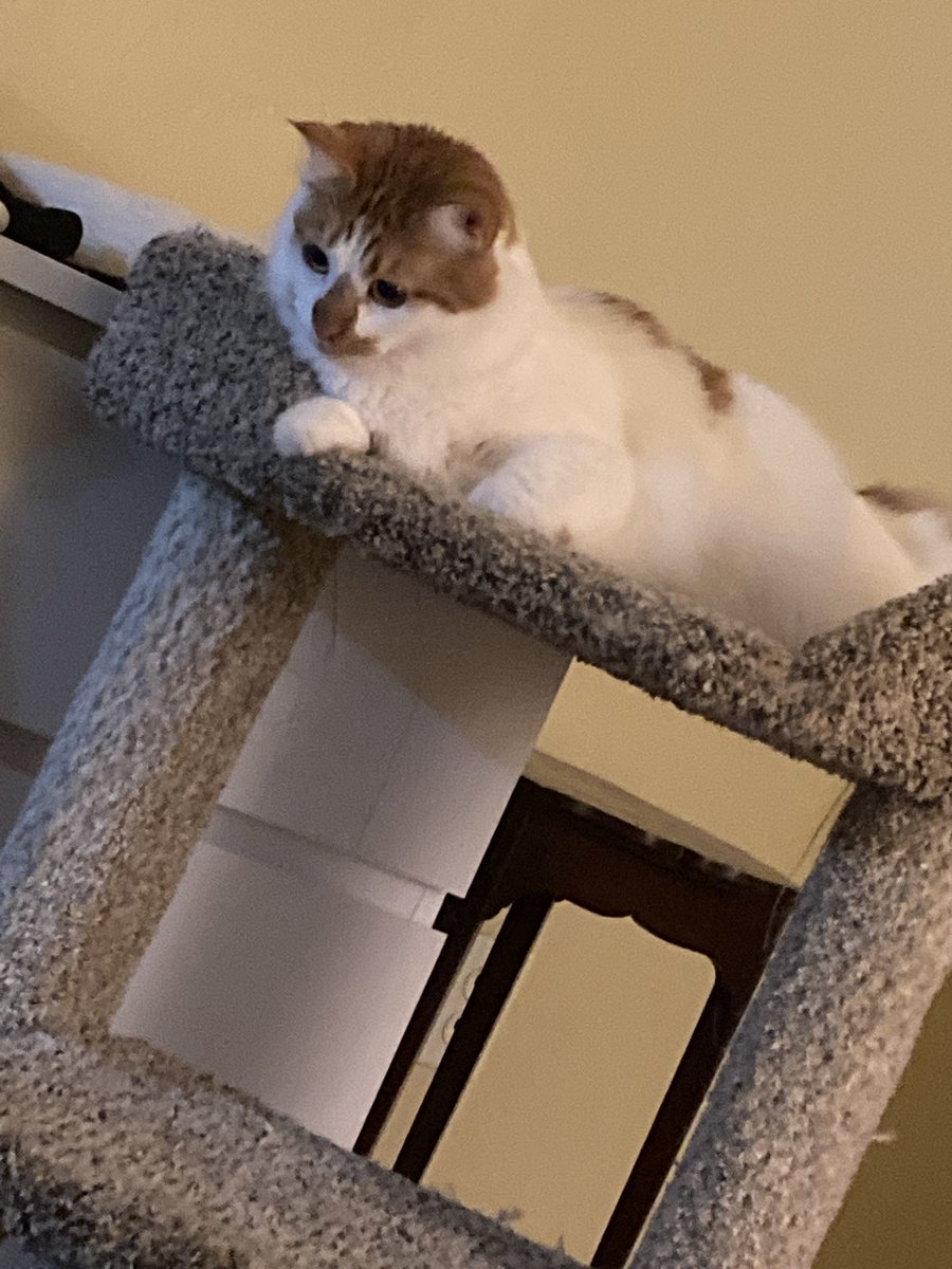 Doof_MD's tweet image. You just know she has a crazy crock pot recipe