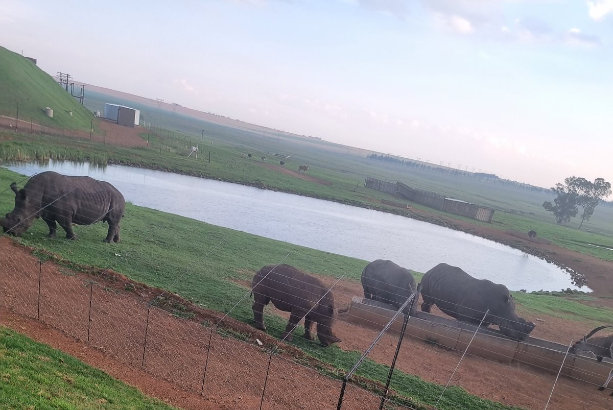 Ownlyf's tweet photo. Lacking self motivation.
#FetchYourBody2023
#12weeksofbuildinghabits
#RunningWithTumiSole
#IPaintedMyRun
#nature https://t.co/mAcvUvS3GS