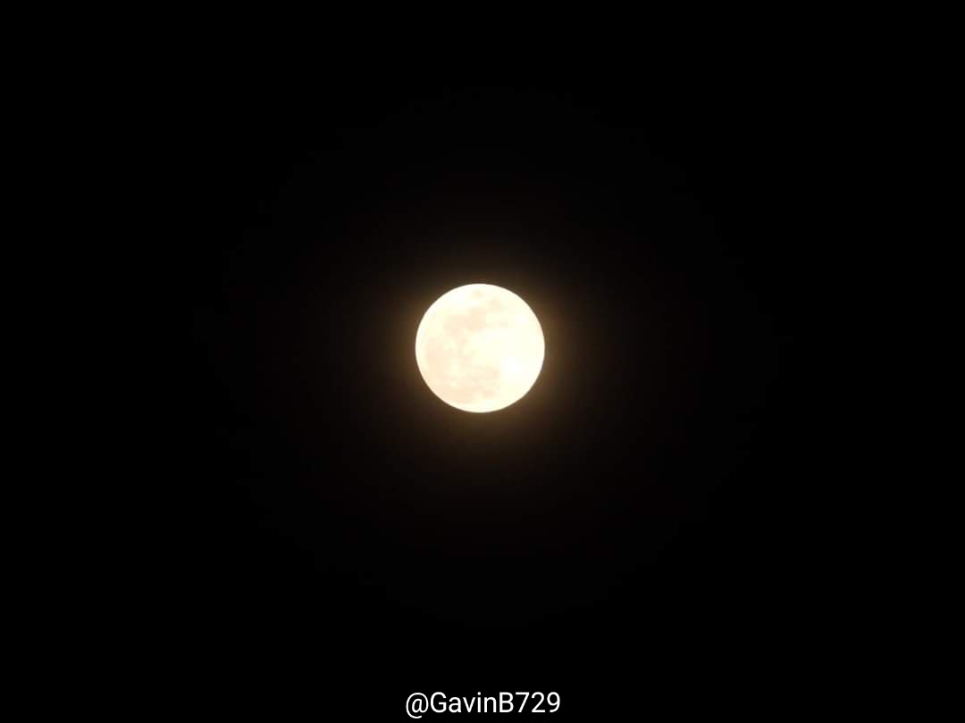 BaiQi7 tweet media