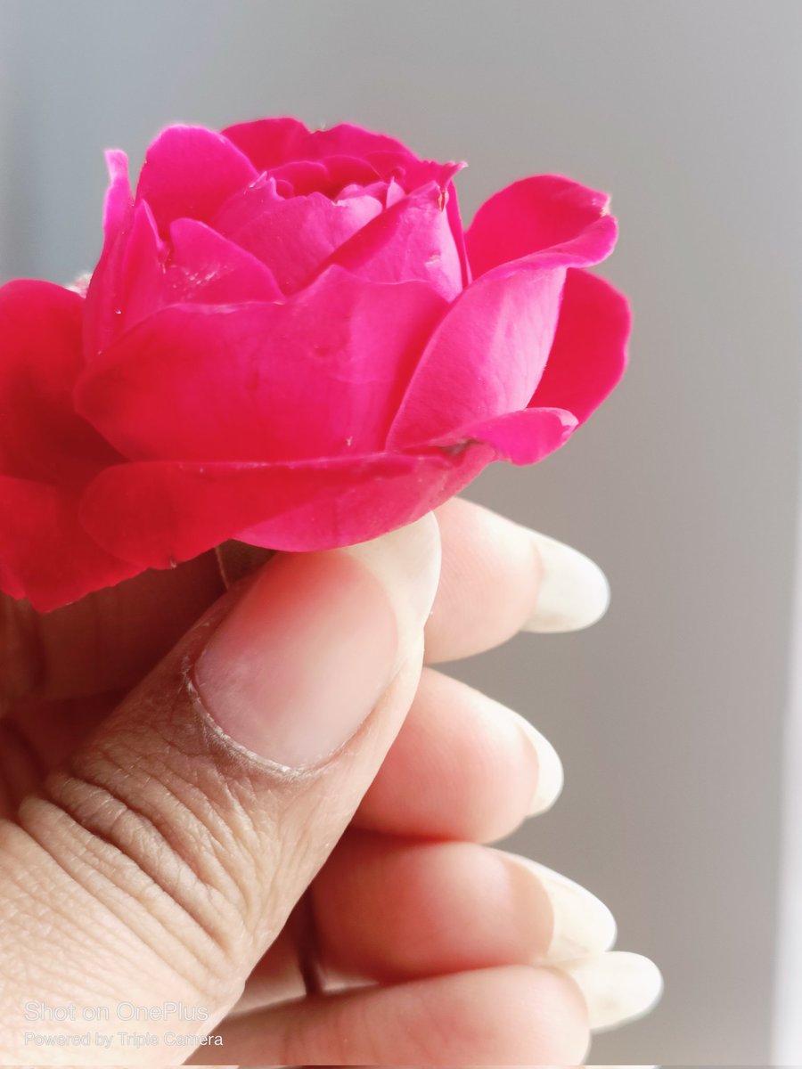 गुलाब तोड़ा है ; तो काँटे जख्म भी देंगे ,
तुमने जो किया है ; उसका हिसाब तो हम लेकर रहेंगे....
#eraser