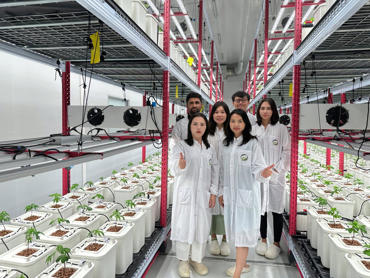 It was a great pleasure for Growspec team while visiting the customers in Thailand. Got positive feedback and provided valuable suggestions.🥳🥳
#climatechange #thailand #cannabis #hemp #verticalfarming #indoorfarmers #farming #weed #marijuana #marijuanaindustry