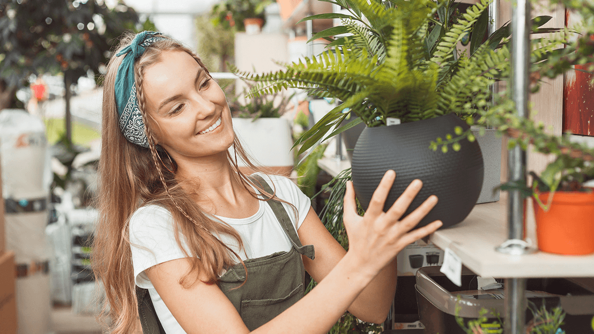propestcontrols's tweet photo. How to Hire a Landscaper
Landscapers can help you transform residential or commercial properties. They can help business owners and homeowners conceptualize plans and execute landscape designs. Landscaping services accounted… https://t.co/oeLlMJVD3c https://t.co/sdzdQtRjwP