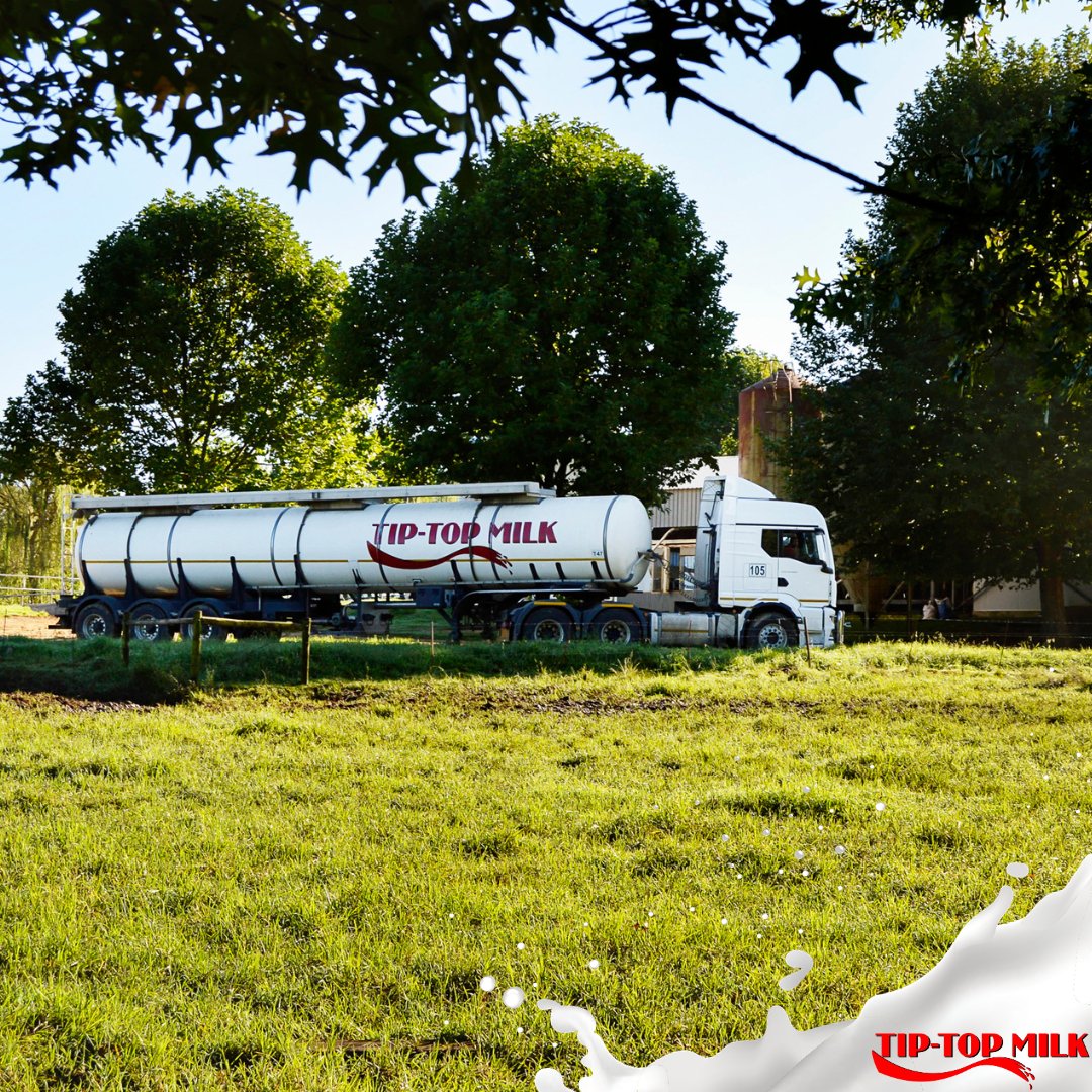 tiptop_milk's tweet photo. #Milk's perishable nature poses a risk of nutrient loss during transportation 🥛 At #TipTopMilk, we prioritise #coldchainmanagement in the #milktransportation journey ❄ Reach out to us on support@tiptopmilk.co.za or (056) 555 0025 for all your #milklogistic requirements. https://t.co/J36bUTgosU
