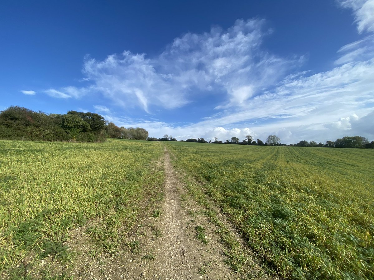 quietfundraiser's tweet photo. So I’ve recced the entire @centurionrunner #WinterDowns route 🏃🏻♂️and the footpath scores are in🤓…
NORTH DOWNS WAY #1
Epic and exciting especially in the first 10k. Some legendary sections. But too many steps, too much route meandering and a bit M25-y late on
6/10 https://t.co/McZJhL00wp