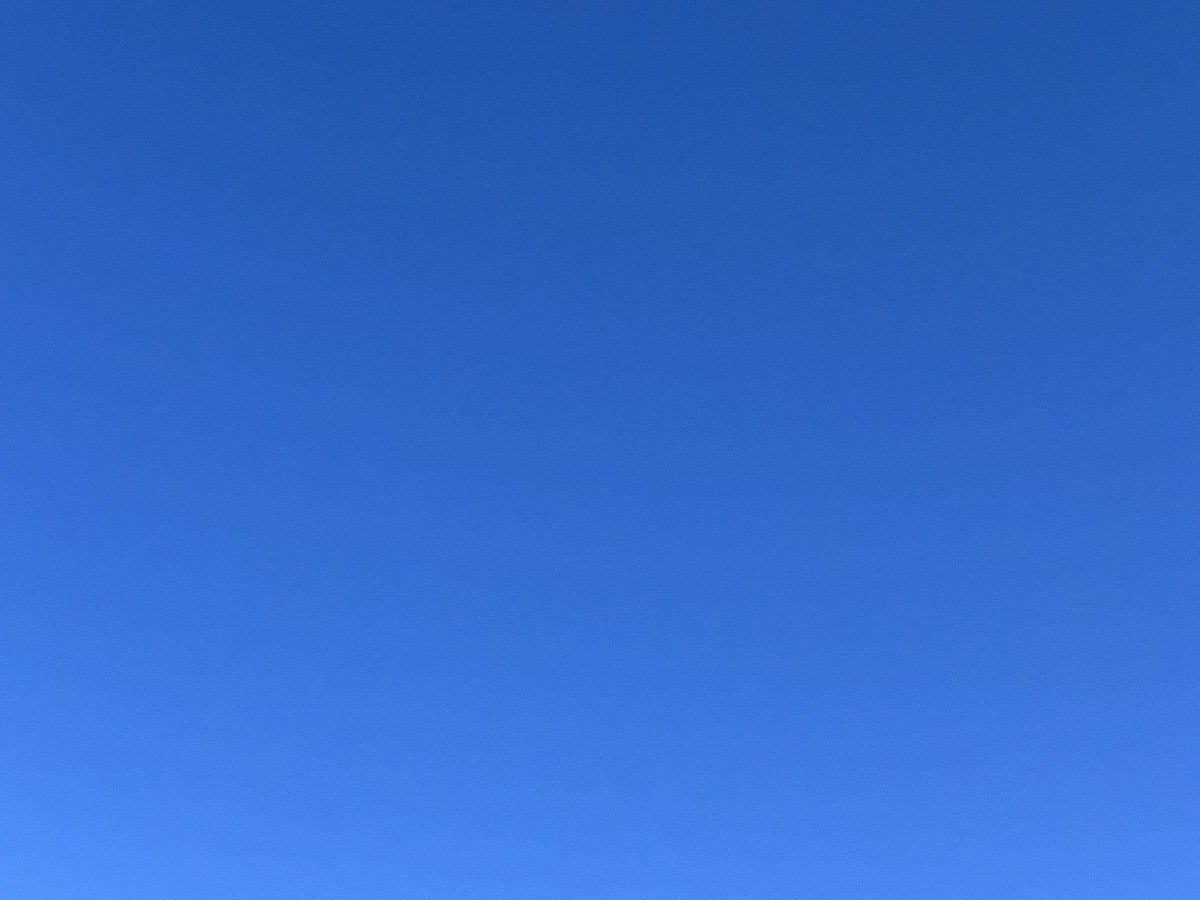 空の青ってすごいね。
写真に写る色と目に映る色が違うっていうのもまたいい。
私の目は飛蚊症だけど、これだけ青いと見上げた空には大量の龍🐉が飛んでエールをもらえるのですw
