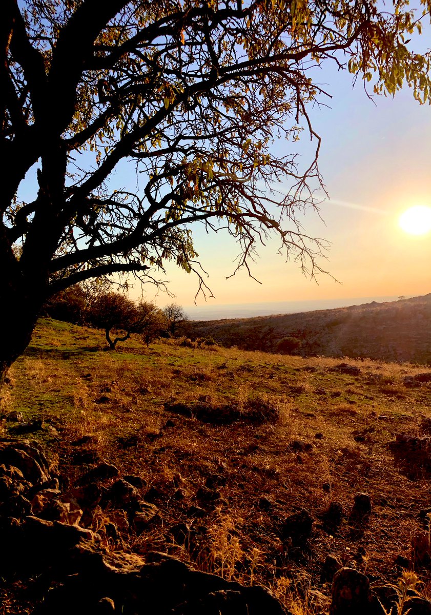 Good Morning 

I wish you a good day

#goodmorning #GoodMorningX #goodmorningfriends #tree #treepeople #sunrise #sun #Sunshine #photographer #photography #nature #NaturePhotography #ThePhotoMode #ThePhotoHour #StormHour