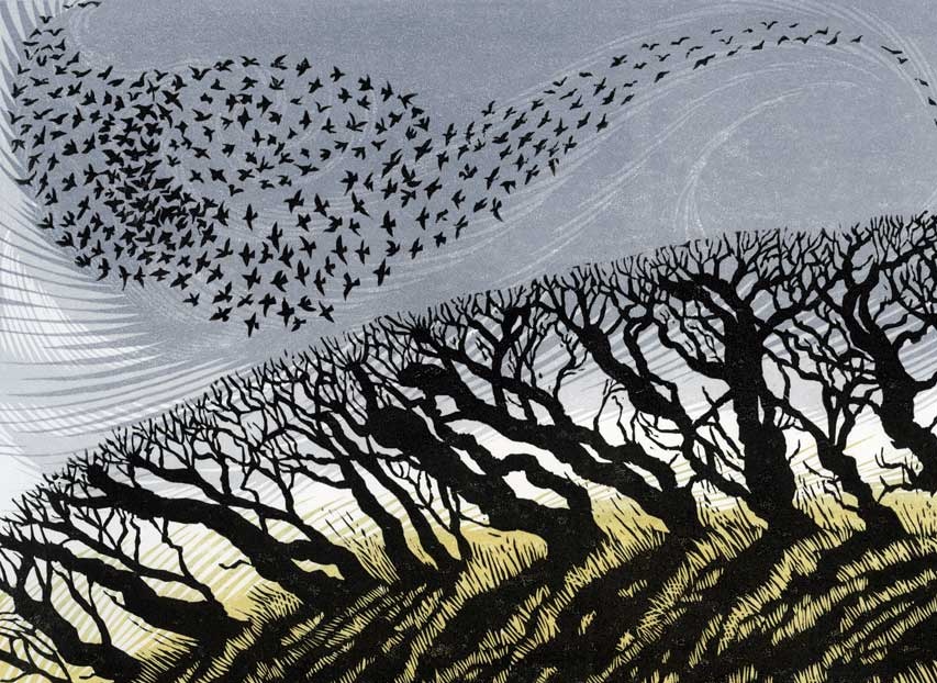 'November Starlings' by Niki Bowers, Norfolk-based, UK contemporary printmaker #WomensArt