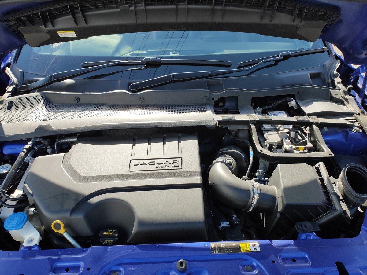 propelauto's tweet photo. #CarArrived Jaguar E-Pace 2.0 Car Arrived in #PropelAuto @ EuroWorld
Come & Grab Spares for your ride at #5WoodlandsWalk
#GenuineParts #SGCars #EpaceCars #JaguarEpace #EpaceHeadlamp #EpaceTaillamp #JaguarSpares #ScrapCars #ExportQuality #PreOwnedCars #CarExports #EngineExport https://t.co/FZ2uXfFMQ8