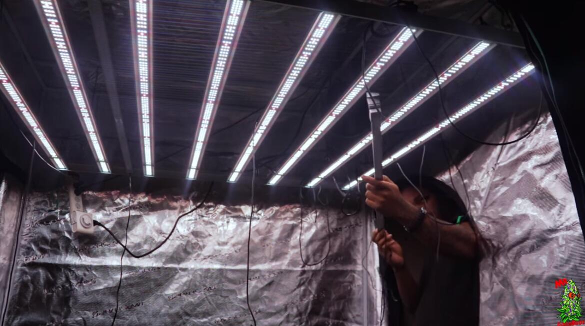 Coco_Pan2022's tweet photo. #UR45 45W UV IR Led Grow Light Bars 43" for Supplemental #FC6500/#FC8000/#FCE6500/#FCE8000 Grow Light，Install really easy!!!#Cannbiscommunity

Amazon Search:#marshydrour45 https://t.co/1EbwVqkOgM