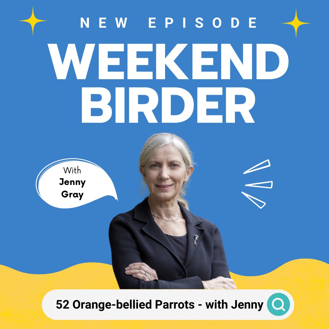 A massive community effort is preventing a little parrot from going extinct! @drjennygray from @ZoosVictoria shares her love of birds and some stories that will leave you feeling more hopeful for the future. Listen on your app or weekendbirder.com/episodes/52-or… #birdtwitter #wildoz