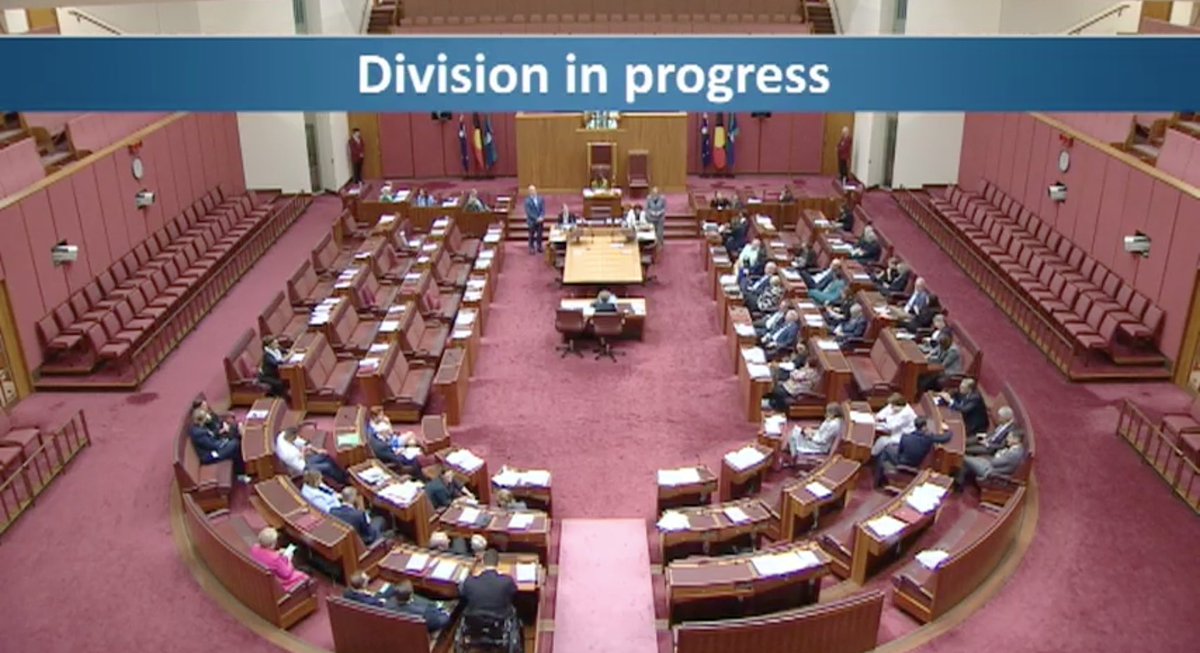 DavidPocock's tweet photo. The Govt &amp; Coalition teamed up to defeat a motion I moved in the Senate today to release the report detailing how Mike Pezzullo breached the APS Code of Conduct.

The politicians Pezzullo was trying to influence don't want the report made public? https://t.co/uFVV7jDV3M