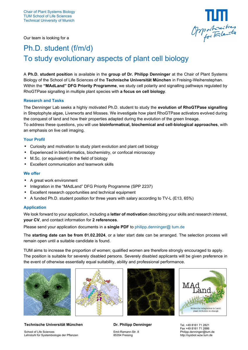 📢 Job alert! Are you excited about plant evolution, cell biology and microscopy? Then send your application! We are still looking for a #PhDposition to join our MAdLand @watertoland project @TU_Muenchen. Please RT! #PlantSciJob