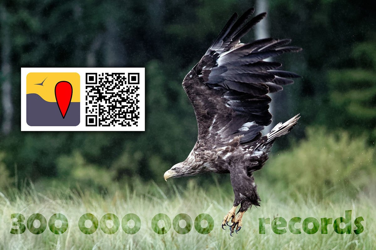 Our platforms reached a major milestone yesterday! We have together collected an impressive 300 million records! Thank you to all participants who have contributed to this achievement. 🙌 #NaturaList #citizenscience