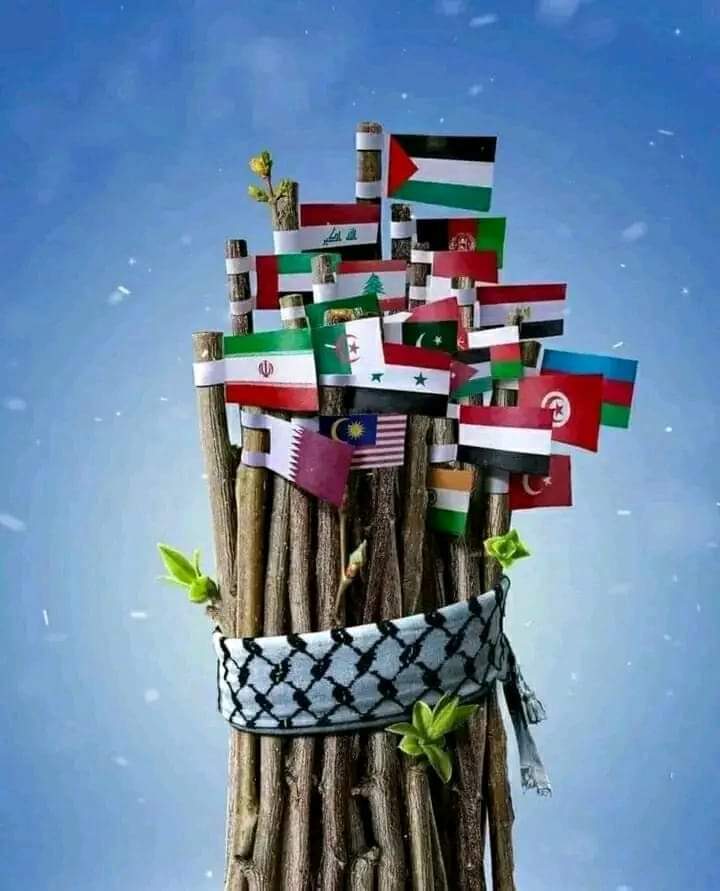 غزه نیز که به صحنه کارزار اشغالگران دربرابر مردم بی دفاع آن مبدل شده ،اکنون بیش از دو سال است در محاصره نظامیان اسرائیلی قرار دارد و اکنون مردم آن در تاریکی با فقر و بیماری و گرسنگی دست و پنجه نرم می کنند.
#SupportPalestine
#FreePalestine