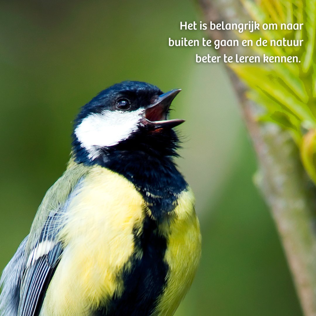 IVNNederland's tweet photo. Iedereen zou toch een vriend van de natuur moeten zijn? 💚

IVN organiseert van 10 t/m 16 juni 2024 de #WeekvandeNatuur. Waarin we leerkrachten uitnodigen om samen met hun klas naar buiten te gaan en de natuur rondom school te leren kennen. Meer weten? https://t.co/iHYifOwzSK https://t.co/FEMbVAXvQl