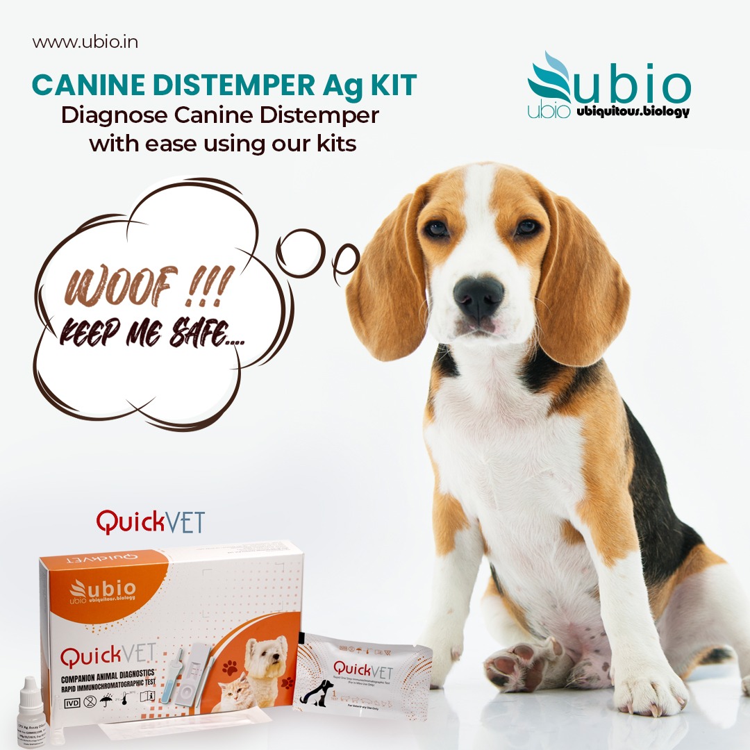 ubiotec's tweet photo. Is your dog showing signs of illness? Worried about the distemper virus?
Our Canine Distemper Ag Test Kit provides peace of mind by delivering rapid and reliable results. Stay one step ahead in safeguarding your dog's well-being.
Visit: https://t.co/EmFEkyKw3J
#ubio #quickvet https://t.co/j0Yo5260mI