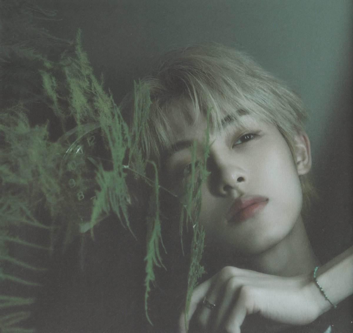 VoteForWinwin's tweet photo. [SCAN] WINWIN On My Youth (Diary Ver.)

ⓒcamille_cotet

#윈윈 #WINWIN #董思成
#DongSiCheng #ウィンウィン
#WayV https://t.co/zxqAhdSAtc