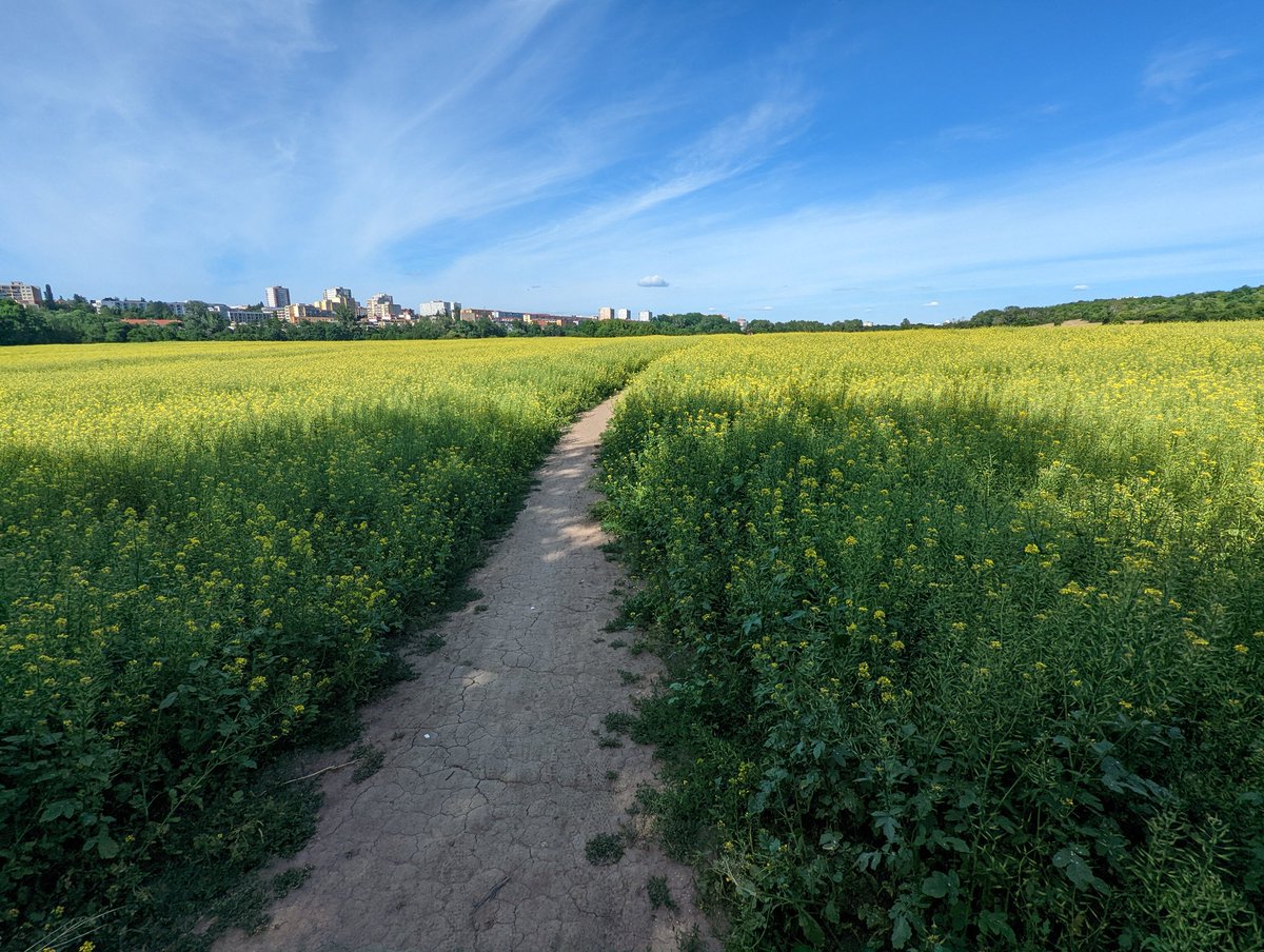 davidantos.cz  tweet media