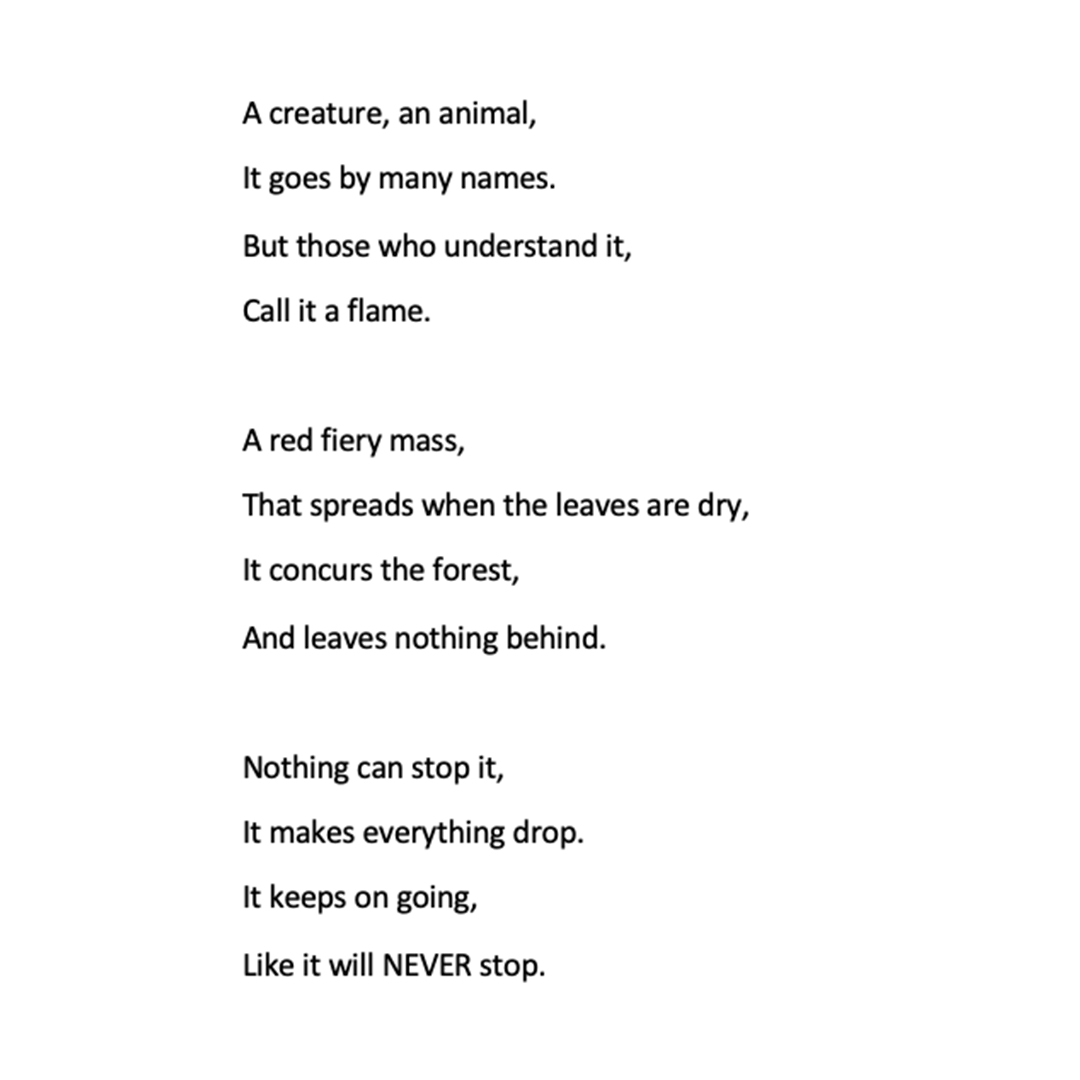 adelaidefest's tweet image. This beautiful poem titled “The Flame” was written by Jessica, age 11, for @create4Adelaide 💚 You can vote on this poem - plus other #C4A artworks! – and help us choose what will be in our 2024 exhibition. Vote now: create4adelaide.au/vote

 #C4A #AdlFest #Create4Adelaide