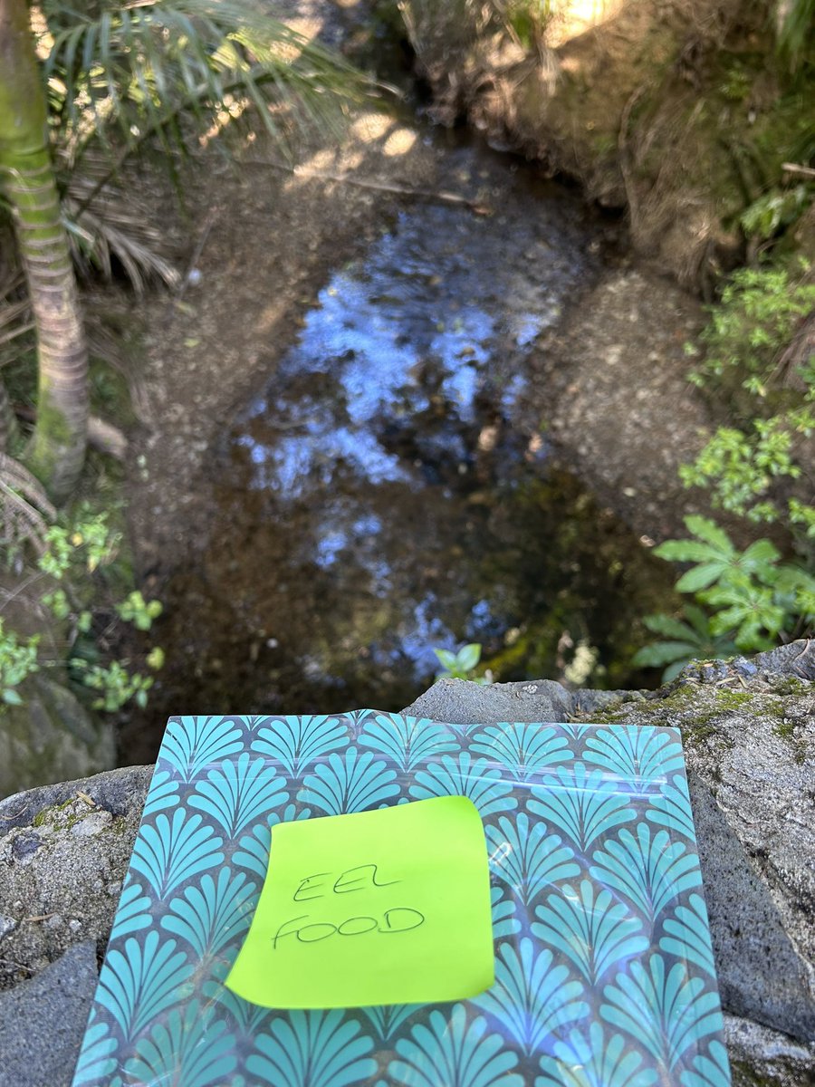 Rachel Jones tweet media