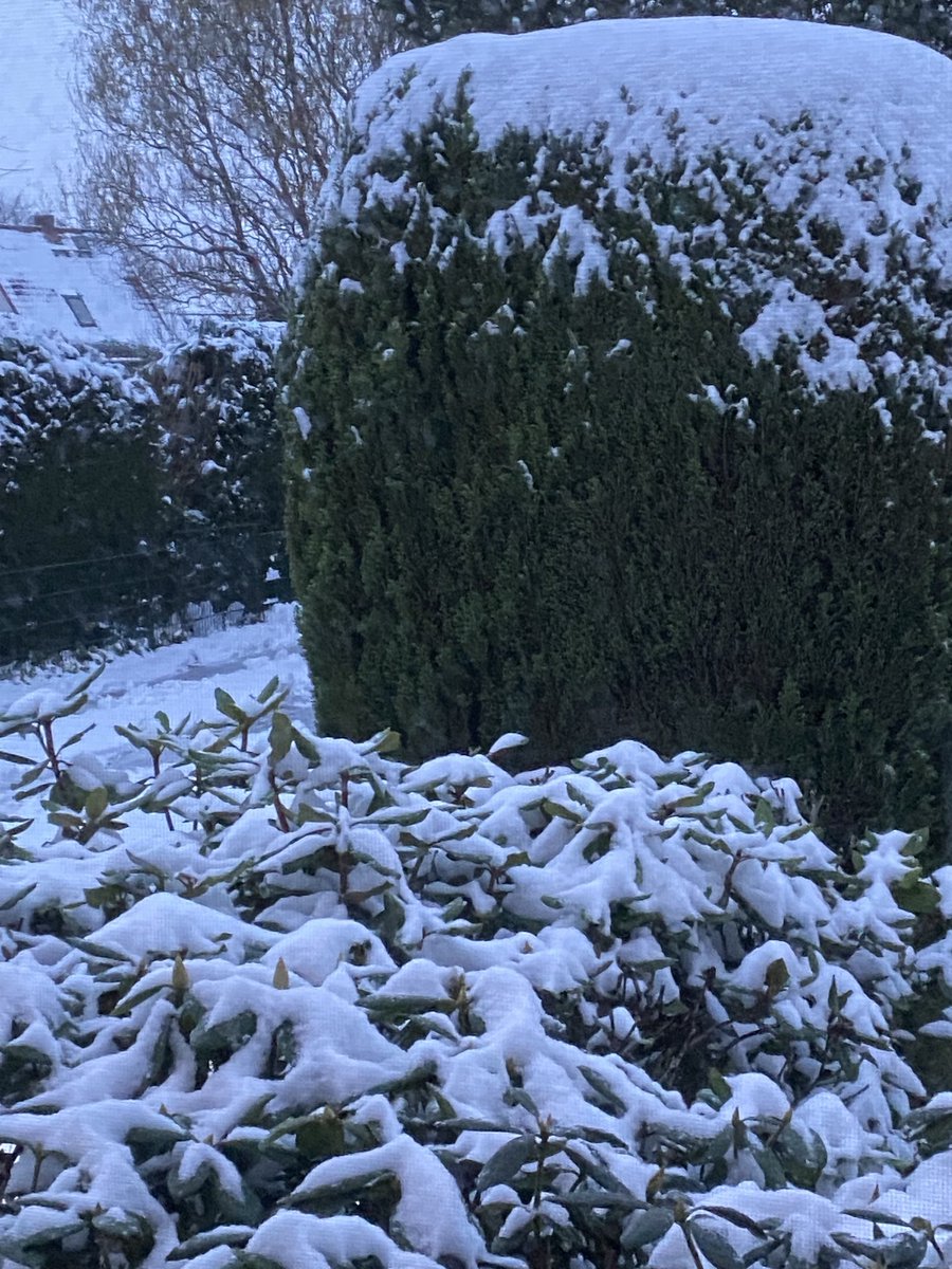 HelenParusel's tweet photo. First snow βοΈ this winter! And itβs cold π₯Ά out there! Happy Wednesday everyone! #snow #writingcommuniry https://t.co/faXS3QefqO