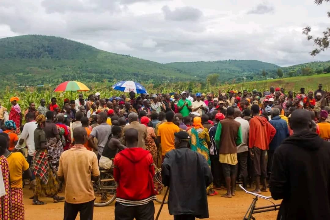 MagazineJimbere's tweet photo. 🌽 Ce 27/11/2023, début de la récolte du maïs cultivé sur 64 ha dans la plaine de #Bugiga en @RutanaProvince, suite à la sensibilisation des administratifs à travers le pays, sur l'aménagement des champs irriguables lors de la saison sèche

🧑🏽‍🌾 Les agriculteurs: "Nous étions sceptiques à l'annonce de cette initiative. Mais nous avons eu raison de le faire, car nous récoltons à présent 3 à 4 tonnes par hectare"

#Burundi #agriculture