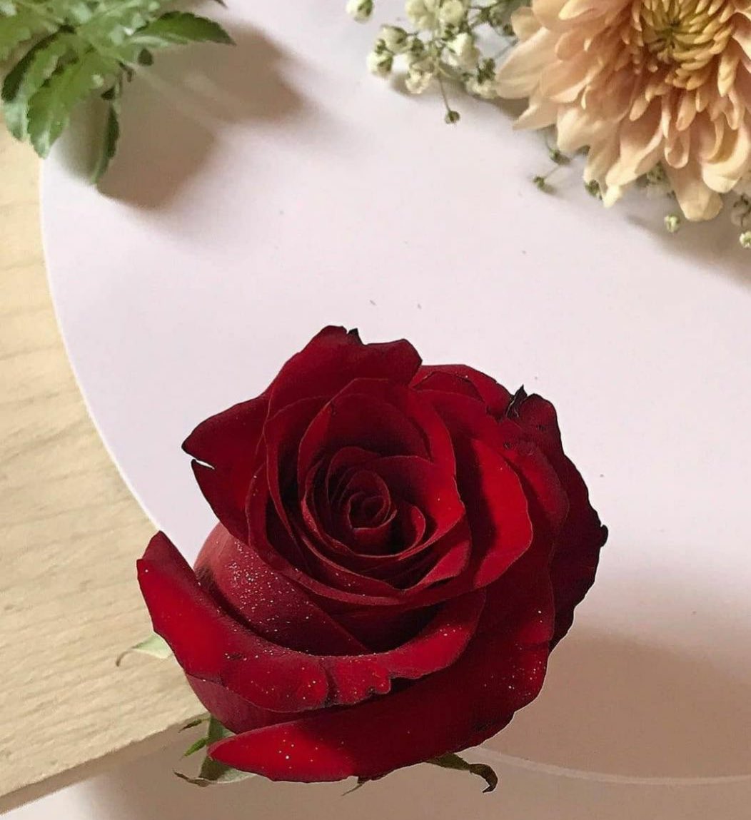 K_G90's tweet photo. اللهم إنّ في صوتي دعاء وفي قلبي أمنيه
اللهم يسر لي الخير حيث كان ..
#صباح_الخير_والسعاده https://t.co/HACNRoV1ZV