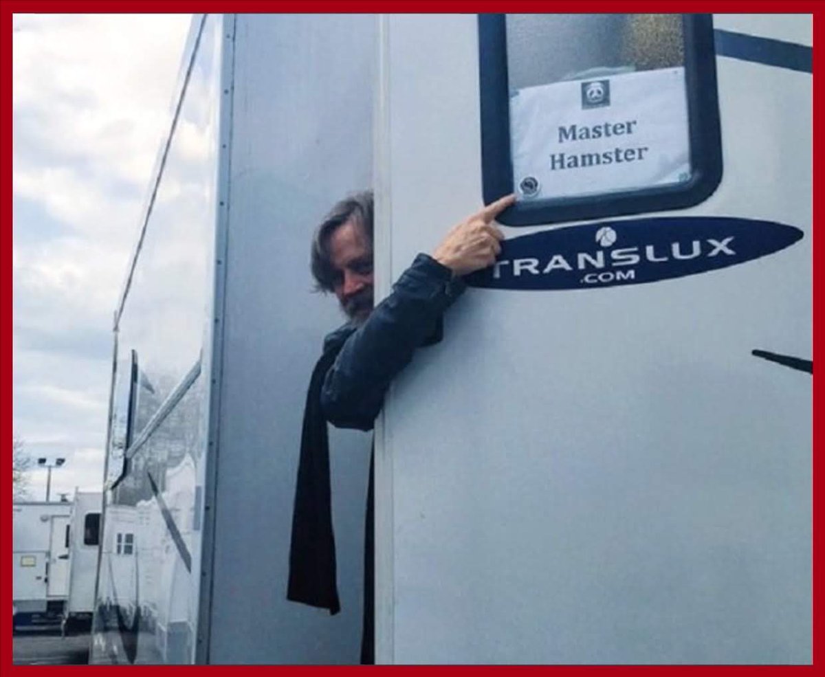 GabrielleOrlita's tweet photo. @HamillSkywalkr_ @pirlanta_AR @LitaNeumann @MarkHamill We want #MasterHamster!!! ๐ค๐ฅฐ๐ค๐ค๐น๐น๐นโจ https://t.co/0w36RP9m88
