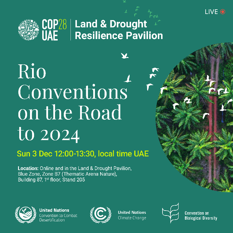 ibrahimthiaw's tweet photo. United for LAND and for a Sustainable Future at @COP28_UAE! 

We're proud to collaborate with @AGFUNDProgram, @badeabank, #G20 Land Initiative, and #IDRA at the Land and Drought Resilience Pavilion. 

📍 Join us in Dubai from Dec 1-10, or follow our sessions online. #UNited4Land