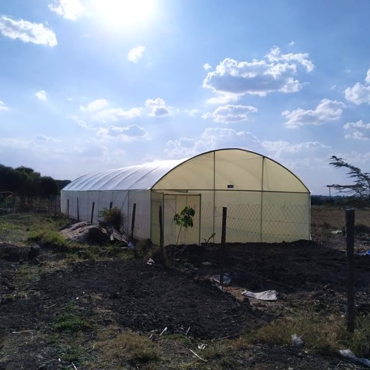 tanzonegreen's tweet photo. Protect your crops from the harsh environmental factors to maximize on the crop potential.

#tanzonegreen
#0717924777 https://t.co/5FUG6VWLtA