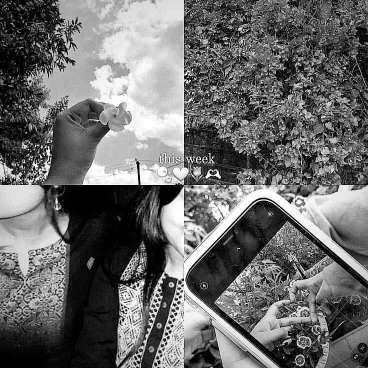 ShinuPratibha's tweet image. Well spent day with my friends 🌸💯

#twiter #anonymous #anonymous_pt
#talktome #talkshow #talktalk #talking #foodtalkinds #viralindia #trending #pranks #reelsinstagram