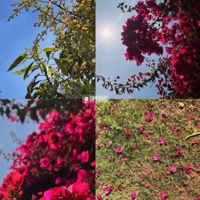 ShinuPratibha's tweet image. Well spent day with my friends 🌸💯

#twiter #anonymous #anonymous_pt
#talktome #talkshow #talktalk #talking #foodtalkinds #viralindia #trending #pranks #reelsinstagram