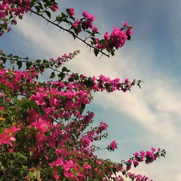 ShinuPratibha's tweet image. Well spent day with my friends 🌸💯

#twiter #anonymous #anonymous_pt
#talktome #talkshow #talktalk #talking #foodtalkinds #viralindia #trending #pranks #reelsinstagram