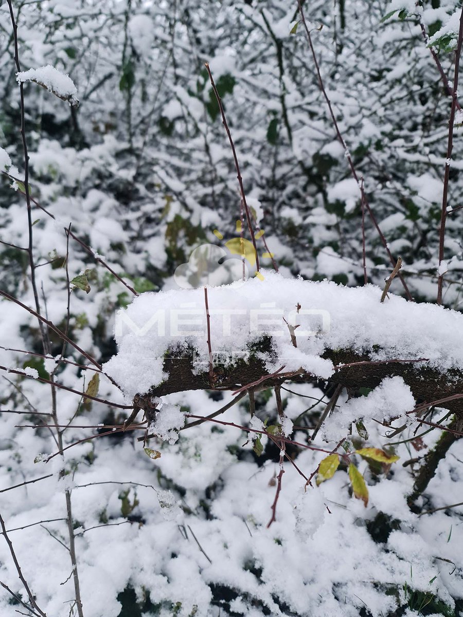 Meteolor's tweet photo. ❄ 3cm mesurés à Valleroy (54910) ce mercredi matin. ❄
Photos par @meteolor .
#meteo #lorraine #neige #plaine https://t.co/vCRmbe6svc