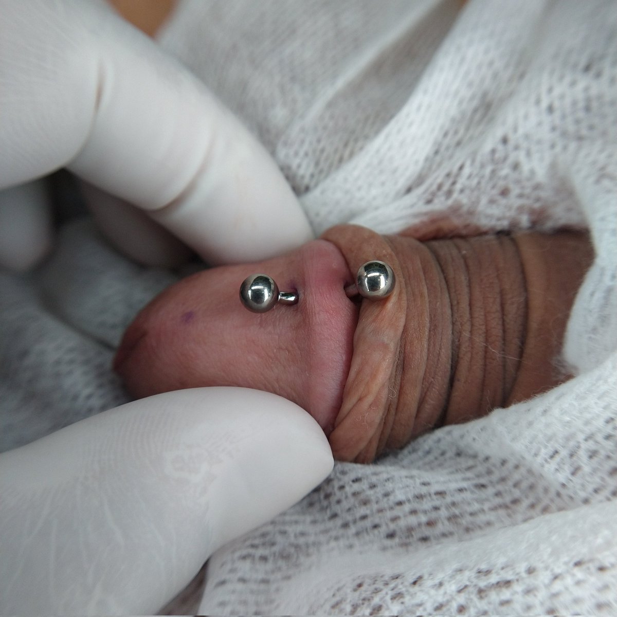 PalomoBPiercing's tweet photo. Dydoe ✌🏼 Joyería de Titanio
Contactos para citas y cotizaciones:
WhatsApp: 3313833237 
#titaniumjewelry #titaniogradoimplante #qualitybodyjewelry #gdl #perforacionintima #dydoepiercing #genitalpiercing #perforaciongenitalgdl https://t.co/qEQtzj5ZcI