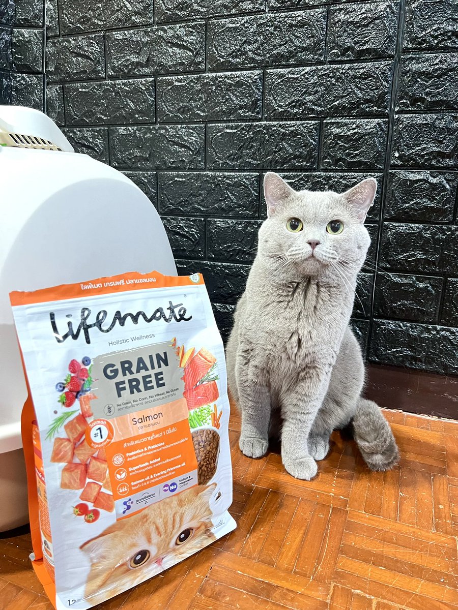 imnayeonshyshy's tweet photo. อิแม่เติมข้าวไม่ทันแล้วลูกเอ้ย Lifemate Grain Free รสแซลมอน อร่อยถูกใจเลออนสุดๆ🥰 อุดมไปด้วยโปรตีนจากเนื้อปลาเน้นๆ ไม่มี By-Product ที่ไม่ดีกับร่างกาย กินแล้วขนสวย อึสวย เหม็นน้อยลง 🥰 โซเดียมต่ำด้วย💕 #อาหารเม็ดแมว https://t.co/NYA829leBV